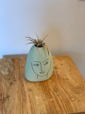 The Vreamery - Artisan Vegan Cheese Company by null