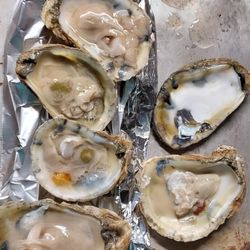 Bad smelly oyster