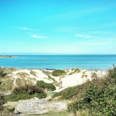 Hotel Tylösand by null