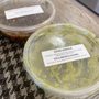 Photo of Viva Mexico Foods