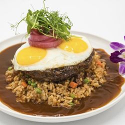 50/50 Signature Locomoco
