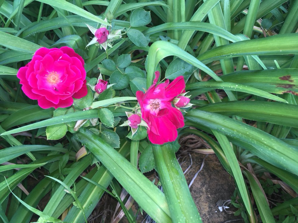 THE CHERRYVALE BED AND BREAKFAST Request a Quote 420 N Depot St