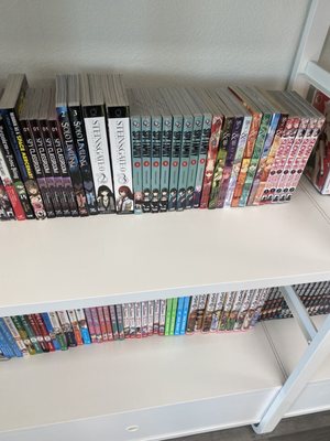 Manga Hole Vegas by null