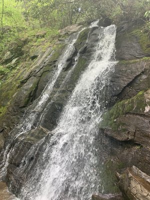 Deep Creek Trail Trailhead by null
