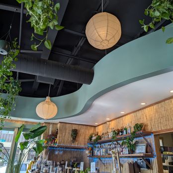Norah - Vegan Near Me - Portland, Oregon Norah - Vegan Near Me - Portland, Oregon