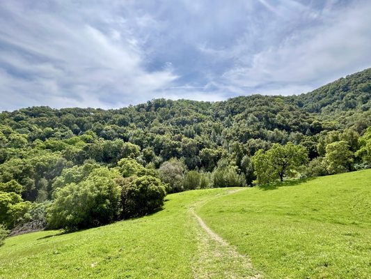Briones Regional Park by null