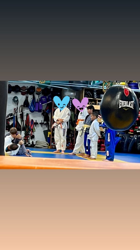 Eastern Academy of Mixed Martial Arts Logo