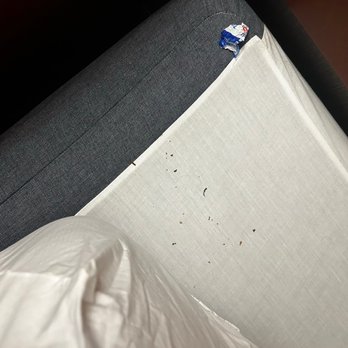 Courtyard by Marriott Los Angeles Torrance/Palos Verdes - Black substance in bed.  Both beds! - Hotels Near Me - Torrance, California