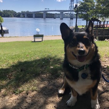 Linwood E Temple Waterfront Park - Dog Parks Near Me - Bath, Maine