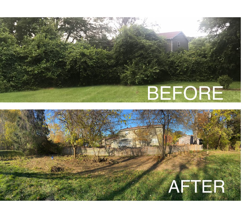 Tree's r us - tree service in Columbus, OH