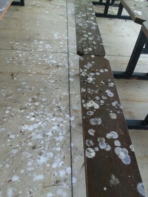 Northern Fauquier Community Park by null