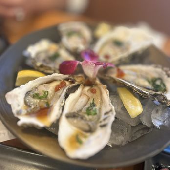 Daisho Sushi Lounge - Oyster - Sushi Bars Near Me - Las Vegas, Nevada Daisho Sushi Lounge - Oyster - Sushi Bars Near Me - Las Vegas, Nevada