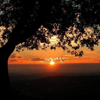 Mt Helix Park - Parks Near Me - La Mesa, California Mt Helix Park - Parks Near Me - La Mesa, California