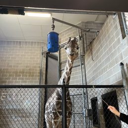 zoo Central Florida Zoo & Botanical Gardens | Sanford, FL | 17201