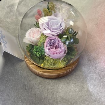 Dreamstate Florist - Beautiful preserved flower - Florists Near Me - Hayward, California Dreamstate Florist - Beautiful preserved flower - Florists Near Me - Hayward, California