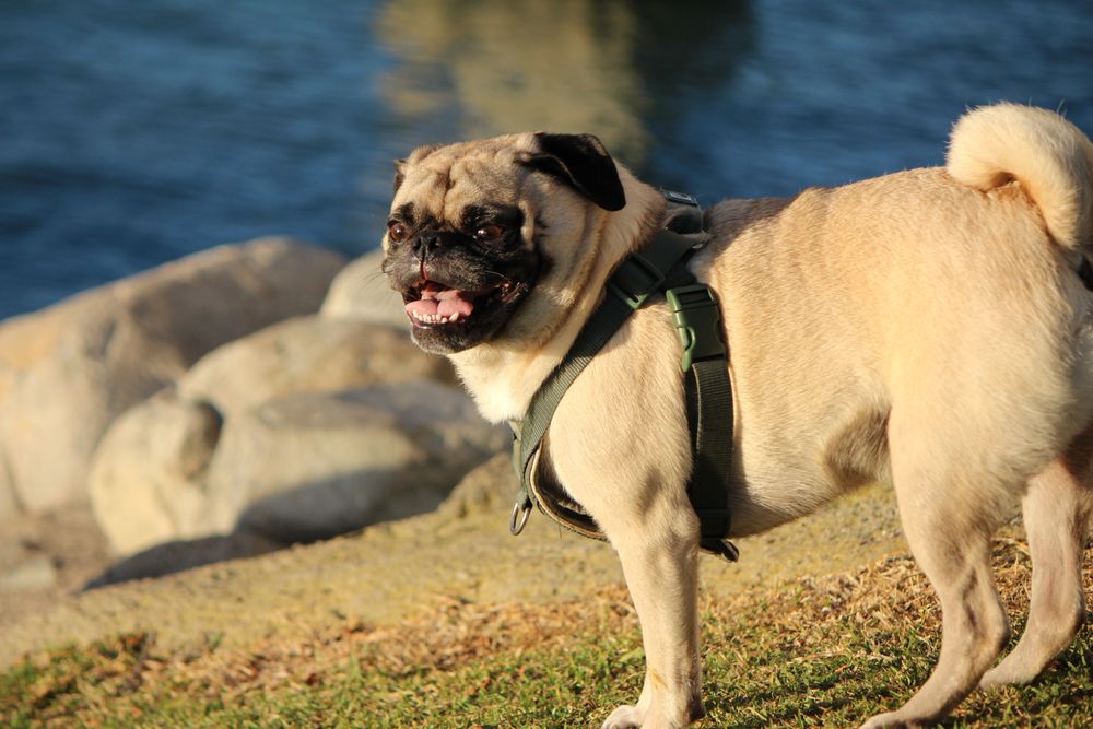 Photo of North Lake Park