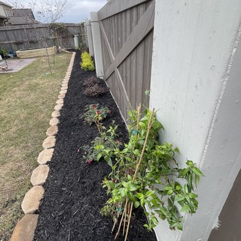 Mike's Complete Landscaping - a garden with mulch mulch - Landscaping Near Me - Richmond, Texas