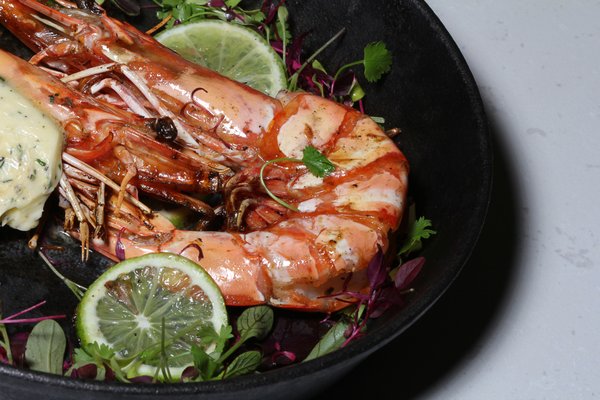 Skewd Cockfosters by null