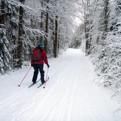 Outdoor Escapes New Hampshire - Private cross-country ski lessons/tours on groomed and backcountry trails.
