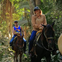 Jungle trail Jungle trail