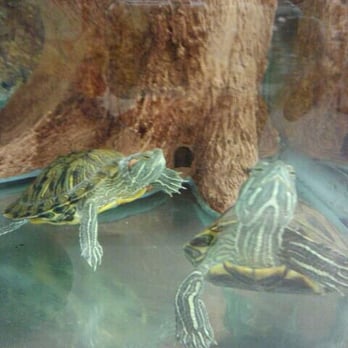 Petco - Pet Stores Near Me - Bakersfield, California Petco - Pet Stores Near Me - Bakersfield, California