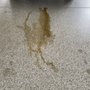 Eddy's INFINITI