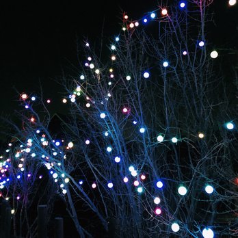 Denver Zoo Lights - Festivals Near Me - Denver, Colorado