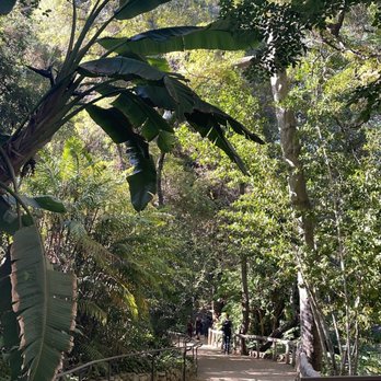 Fern Dell - Hiking Near Me - Los Angeles, California