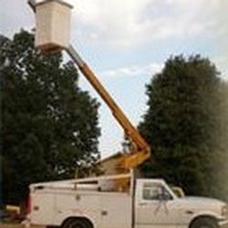 Professional Tree Service