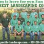 Photo of Pacific Landscaping and Maintenance