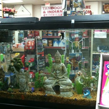 Buddha In A Fish Tank Yelp