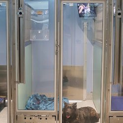 Bayside Pet Resort
