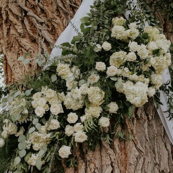 Holly Fleur - The centerpiece of the ceremony was this massive Cottonwood tree. Holly made my dreams come to life. - Floral Designers Near Me - Reno, Nevada Holly Fleur - The centerpiece of the ceremony was this massive Cottonwood tree. Holly made my dreams come to life. - Floral Designers Near Me - Reno, Nevada