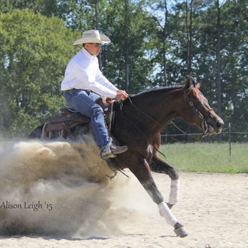 Jesse Chase Performance Horses - Medoc Lil Yankee and Jesse Chase - Horseback Riding Near Me - Wendell, North Carolina