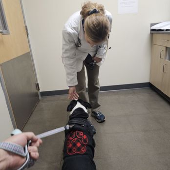 Vetco Total Care - Dr. Kimberly Gryl - Veterinarians Near Me - Phoenix, Arizona Vetco Total Care - Dr. Kimberly Gryl - Veterinarians Near Me - Phoenix, Arizona