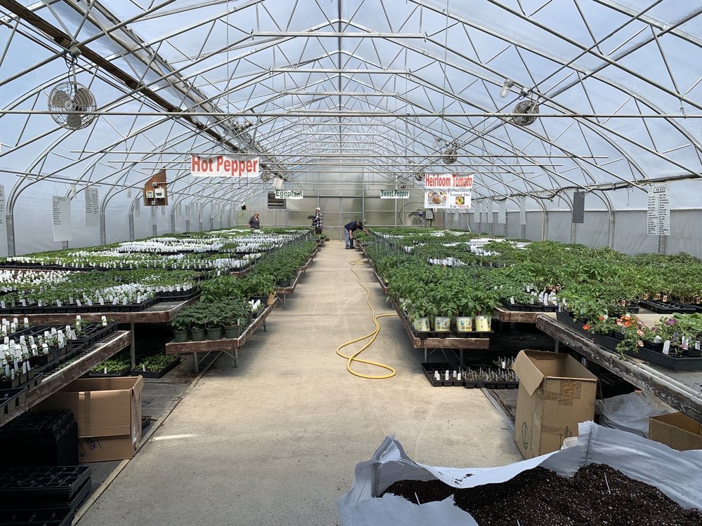 Meadow View Farm Logo