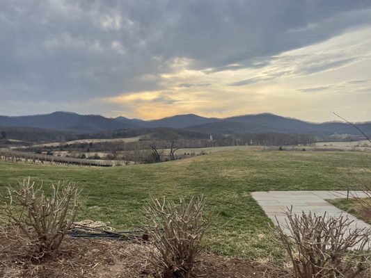 Pippin Hill Farm & Vineyards by null