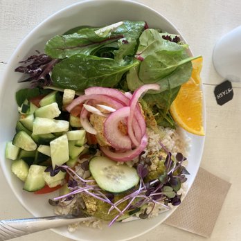 Terra Veg - My lunch, the falafel are hiding. - Vegan Near Me - Klamath Falls, Oregon Terra Veg - My lunch, the falafel are hiding. - Vegan Near Me - Klamath Falls, Oregon