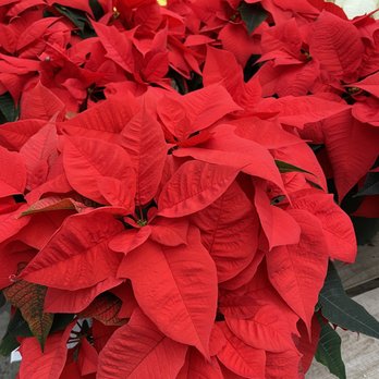 Cedar Hill Farm - Nurseries & Gardening Near Me - Lambertville, New Jersey