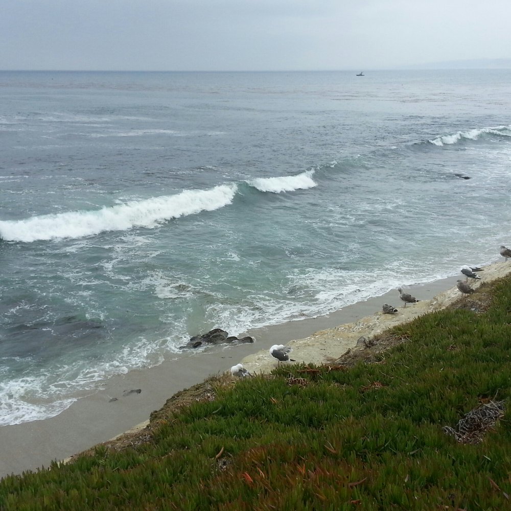Ellen Browning Scripps Park - The Air is Sooo Fresh. - Parks Near Me - La Jolla, California Ellen Browning Scripps Park - The Air is Sooo Fresh. - Parks Near Me - La Jolla, California