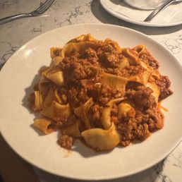 Bolognese Bolognese