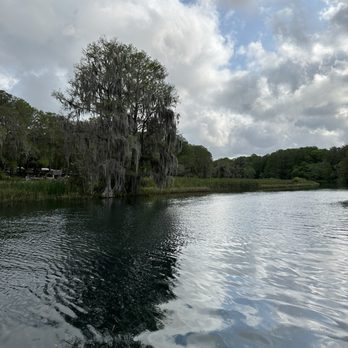 Singing River Tours - Cypress - Tours Near Me - Dunnellon, Florida Singing River Tours - Cypress - Tours Near Me - Dunnellon, Florida