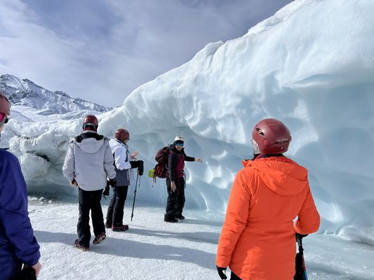 Photo of Salmon Berry Travel & Tours - Anchorage, AK, US. Dallas Seavey dog sled- Talkeetna, Alaska and Matanuska Glacier, Alaska