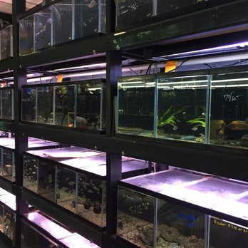 Something Fishy - Pet Stores Near Me - Cleveland, Ohio