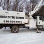 Photo of Virgil's Tree Service