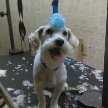 Park Pet Shop - Pet Stores Near Me - Chicago, Illinois Park Pet Shop - Pet Stores Near Me - Chicago, Illinois