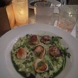 Crispy Scallops in Risotto ( special)