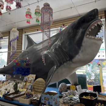 Florida Citrus Center Inc # 90 - Inside - Candy Stores Near Me - Ocala, Florida