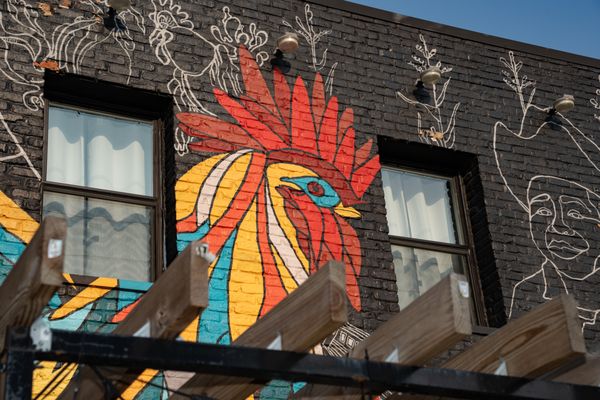 The Art of Chicken by null