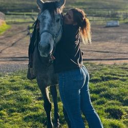 They take fantastic care of the horses